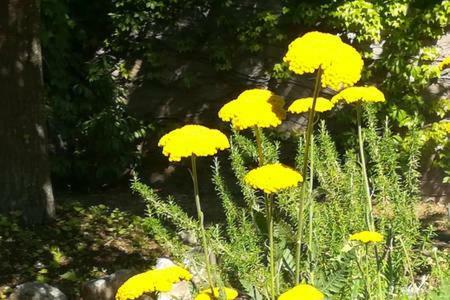 B&B Villaggio Sole Sulmona Eksteriør billede